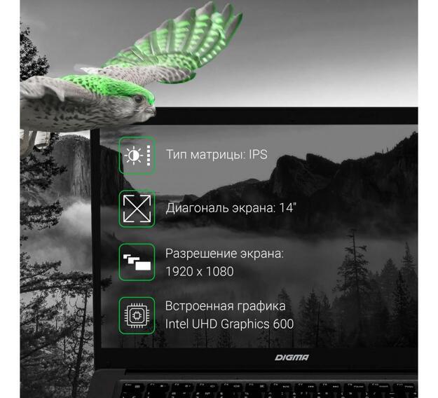 Ноутбук Digma EVE 14 14" (Celeron N4000, 4GB, , IPS) черный