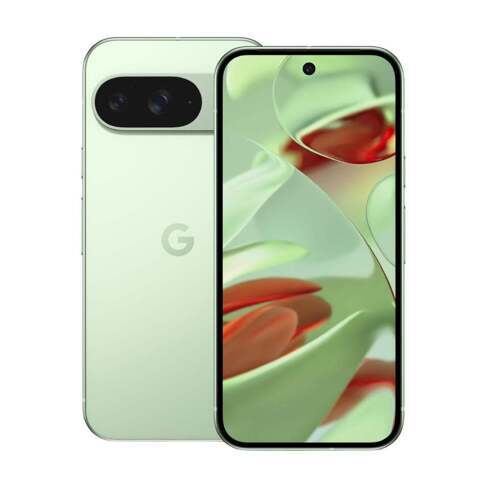 Смартфон Google Pixel 9 12/256ГБ зеленый