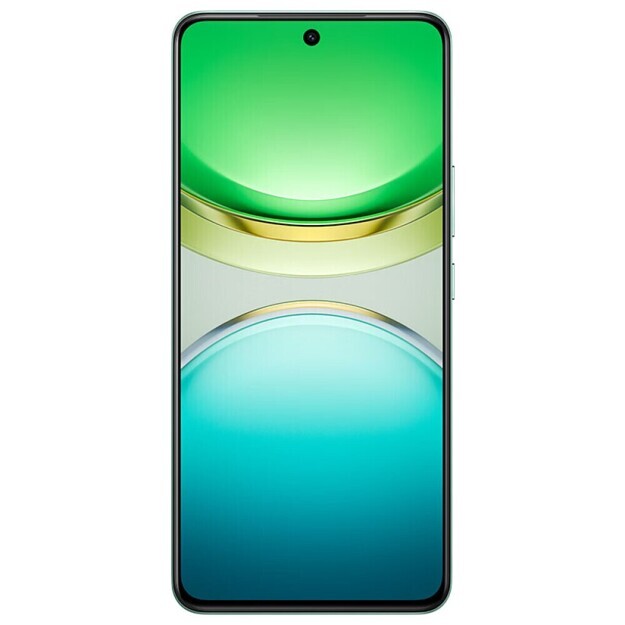 Vivo Y300 12/256 ГБ, Зелёный