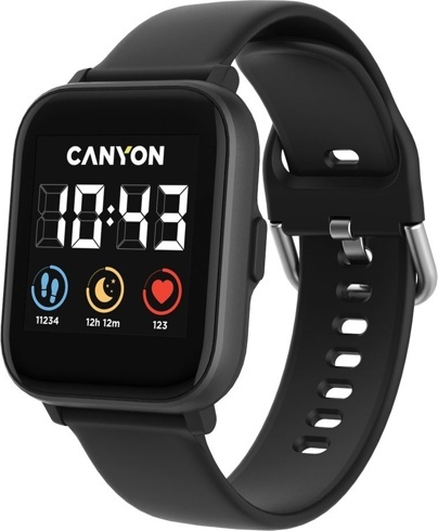 Умные часы Canyon Salt SW-78 черный