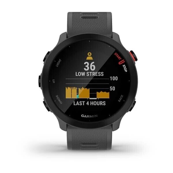 Умные часы Garmin Forerunner 55 серые