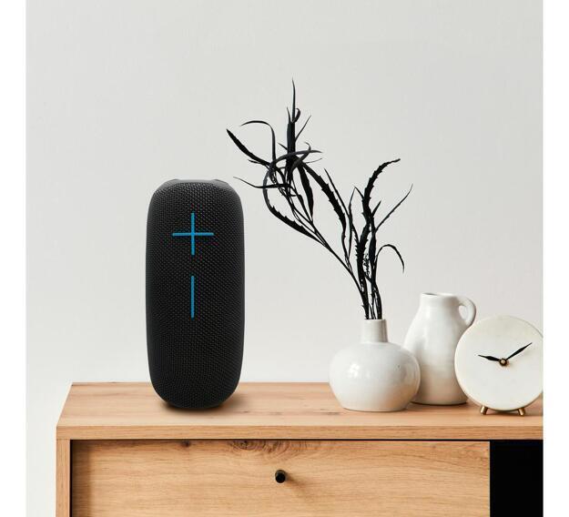 Портативная Bluetooth колонка SunWind SW-PS106 (10 Вт, FM, USB, microSD/TF, AUX, IPX5, Подсветка), Черная