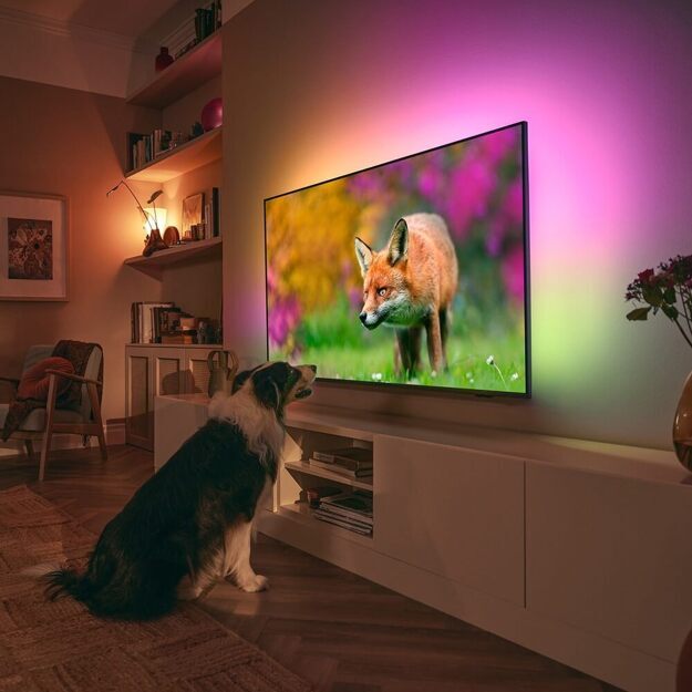 Телевизор Philips 65" 65PUS8519/60: 65 дюйма, 4K, 60Гц